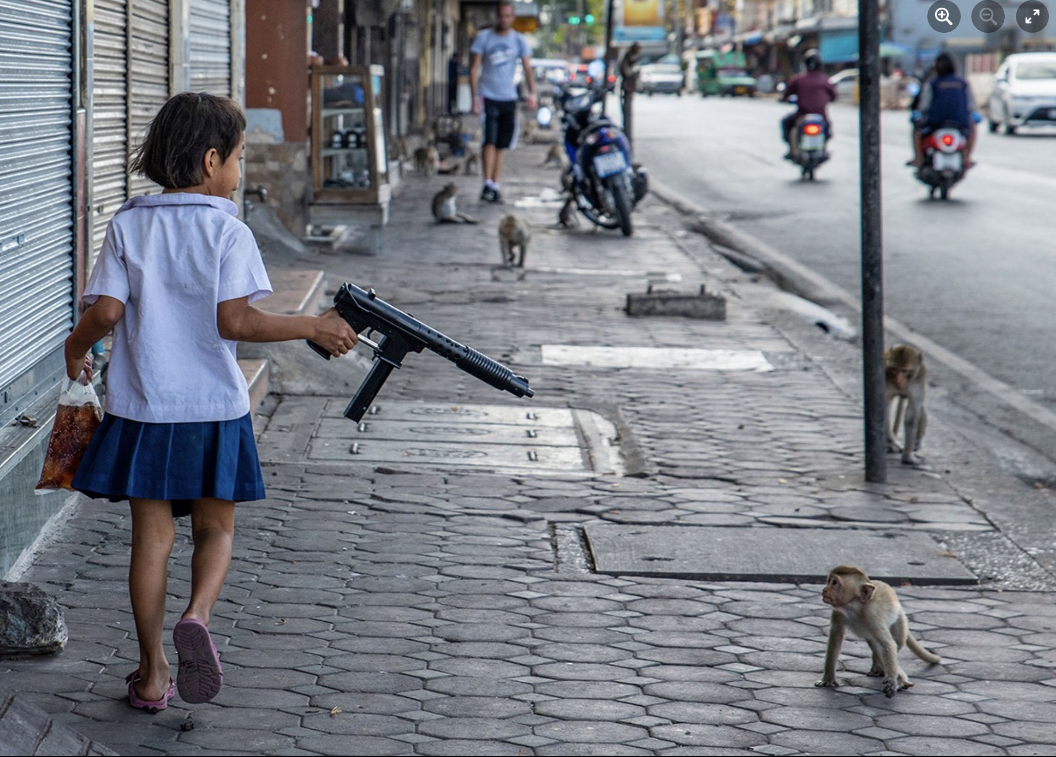 lopburi monkey gun - Q